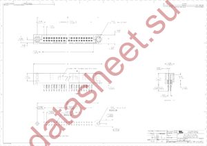 532446-3 datasheet  